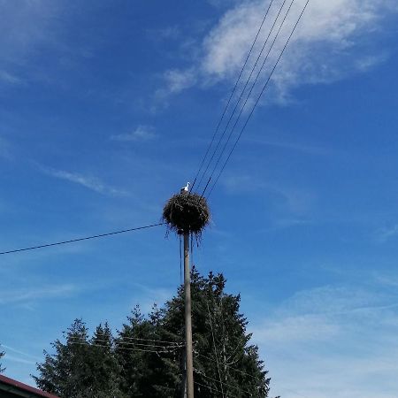 Schwarzwald Appartement Steinen  Extérieur photo