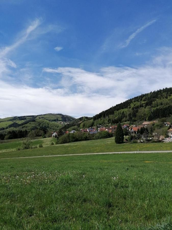 Schwarzwald Appartement Steinen  Extérieur photo