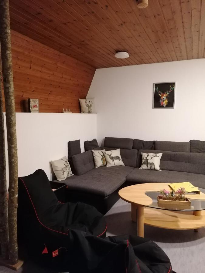 Schwarzwald Appartement Steinen  Extérieur photo