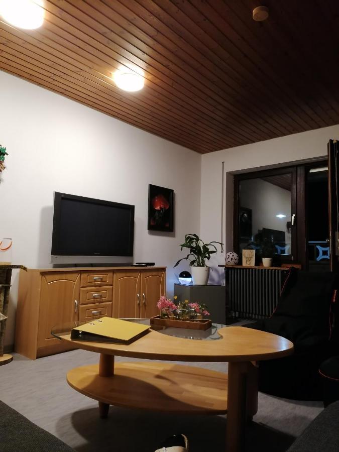 Schwarzwald Appartement Steinen  Extérieur photo